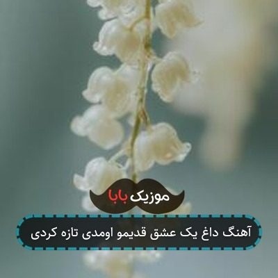 آهنگ داغ یک عشق قدیمو اومدی تازه کردی