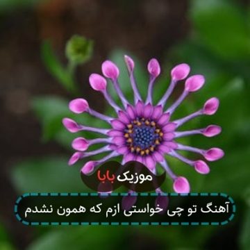 آهنگ تو چی خواستی ازم که همون نشدم