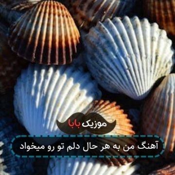 آهنگ من به هر حال دلم تو رو میخواد آهنگ من به هر حال دلم تو رو میخواد