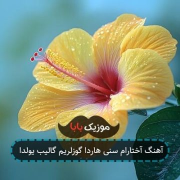 آهنگ آختارام سنی هاردا گوزلریم گالیب یولدا آهنگ آختارام سنی هاردا گوزلریم گالیب یولدا