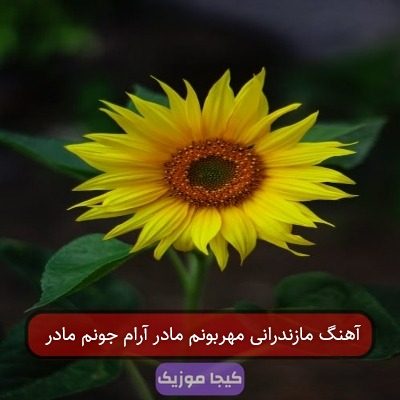 آهنگ مازندرانی مهربونم مادر آرام جونم مادر آهنگ مازندرانی مهربونم مادر آرام جونم مادر