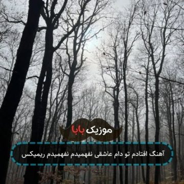 آهنگ افتادم تو دام عاشقی نفهمیدم نفهمیدم ریمیکس آهنگ افتادم تو دام عاشقی نفهمیدم نفهمیدم ریمیکس