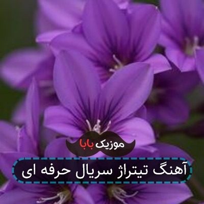 آهنگ تیتراژ سریال حرفه ای آهنگ تیتراژ سریال حرفه ای