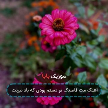 آهنگ مث قاصدک تو دستم بودی که باد نبرتت آهنگ مث قاصدک تو دستم بودی که باد نبرتت