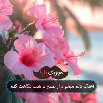 آهنگ دلم میخواد از صبح تا شب نگاهت کنم آهنگ دلم میخواد از صبح تا شب نگاهت کنم