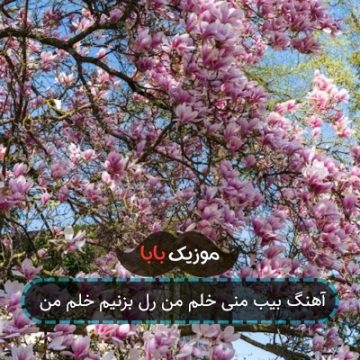 آهنگ بیب منی خلم من رل بزنیم خلم من آهنگ بیب منی خلم من رل بزنیم خلم من