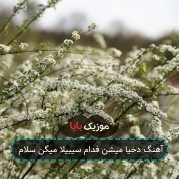 آهنگ دخیا میشن فدام سیبیلا میگن سلام