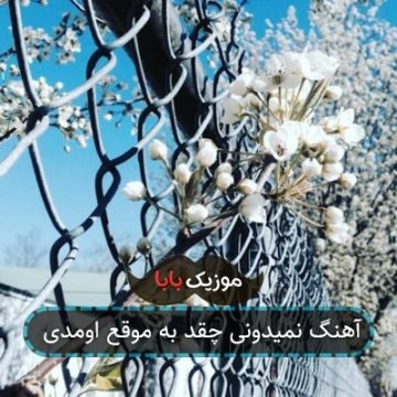 آهنگ نمیدونی چقد به موقع اومدی