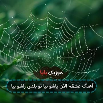 آهنگ عشقم الان پاشو بیا تو بلدی راشو بیا آهنگ عشقم الان پاشو بیا تو بلدی راشو بیا