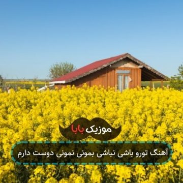 آهنگ تورو باشی نباشی بمونی نمونی دوست دارم
