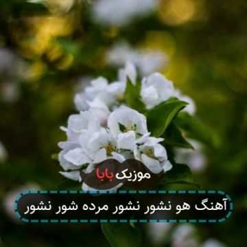 آهنگ هو نشور نشور مرده شور نشور آهنگ هو نشور نشور مرده شور نشور