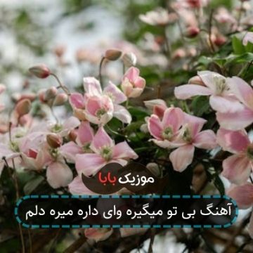 آهنگ بی تو میگیره وای داره میره دلم