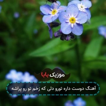 آهنگ دوست داره تورو دلی که زخم تو رو پراشه آهنگ دوست داره تورو دلی که زخم تو رو پراشه
