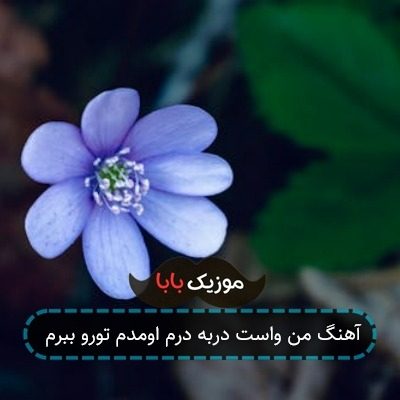 آهنگ من واست دربه درم اومدم تورو ببرم