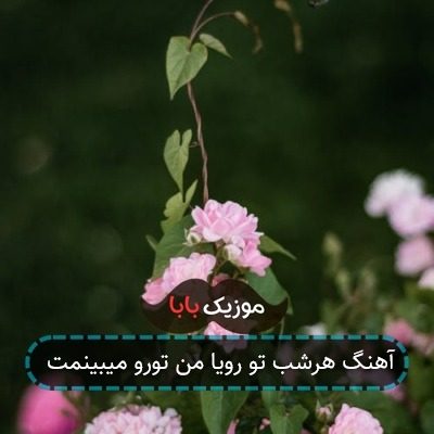 آهنگ هرشب تو رویا من تورو میبینمت