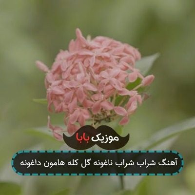 آهنگ شراب شراب ناغونه گل کله هامون داغونه