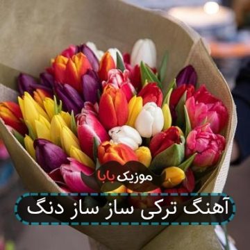 آهنگ ترکی ساز ساز دنگ