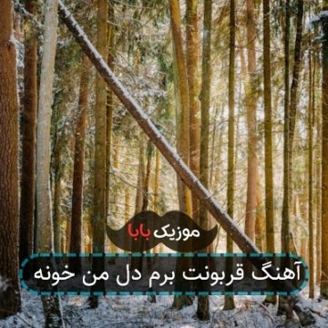 آهنگ قربونت برم دل من خونه