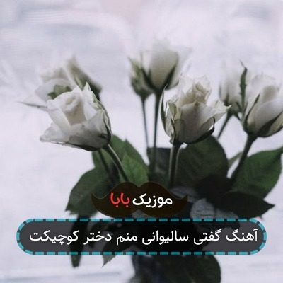 آهنگ گفتی سالیوانی منم دختر کوچیکت آهنگ گفتی سالیوانی منم دختر کوچیکت