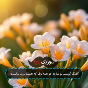 آهنگ گوشیم تو شارژه جز همه وقتا که هست روی سایلنت