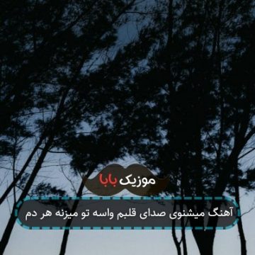 آهنگ میشنوی صدای قلبم واسه تو میزنه هر دم