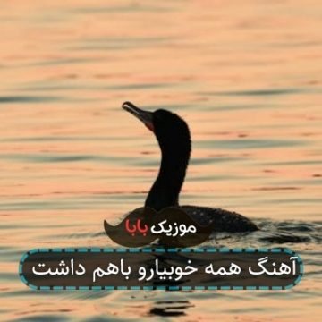 آهنگ همه خوبیارو باهم داشت آهنگ همه خوبیارو باهم داشت