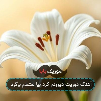 آهنگ دوریت دیوونم کرد بیا عشقم برگرد آهنگ دوریت دیوونم کرد بیا عشقم برگرد