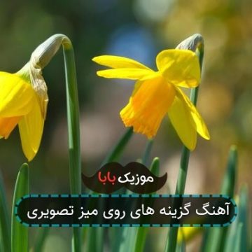آهنگ گزینه های روی میز تصویری آهنگ گزینه های روی میز تصویری