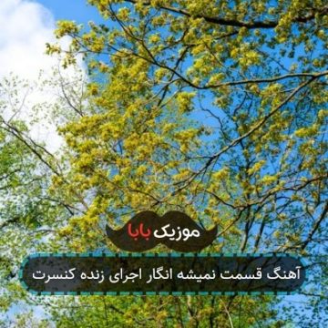 آهنگ قسمت نمیشه انگار اجرای زنده کنسرت