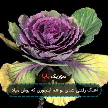 آهنگ رفتنی شدی تو هم اینجوری که بوش میاد آهنگ رفتنی شدی تو هم اینجوری که بوش میاد