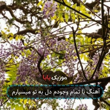 آهنگ ای جگر گوشه ی من تا ابد با تو هستم