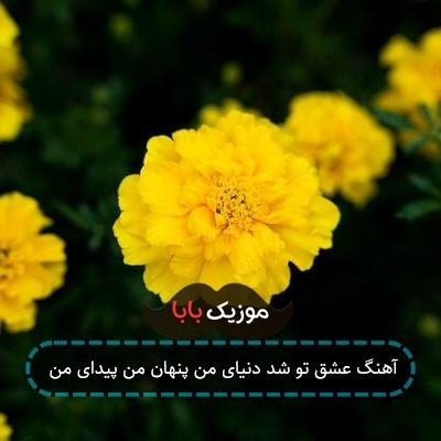 آهنگ عشق تو شد دنیای من پنهان من پیدای من آهنگ عشق تو شد دنیای من پنهان من پیدای من
