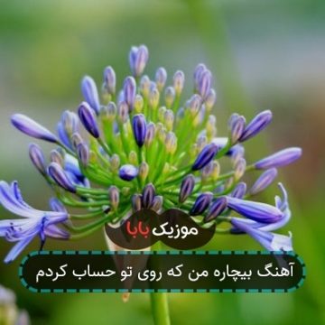 آهنگ بیچاره من که روی تو حساب کردم