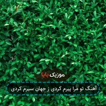آهنگ تو مرا پیرم کردی ز جهان سیرم کردی