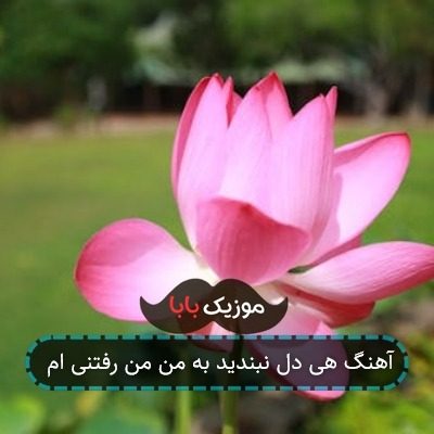 آهنگ هی دل نبندید به من من رفتنی ام