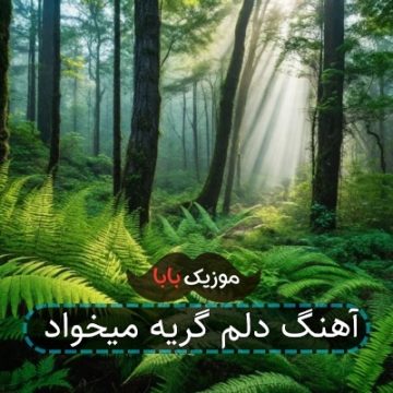 آهنگ دلم گریه میخواد