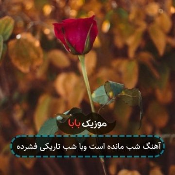 آهنگ کولی کنار آتش رقص شبانه ات کو