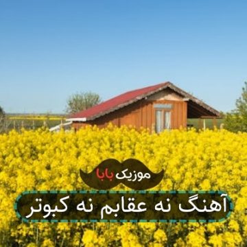 آهنگ نه عقابم نه کبوتر