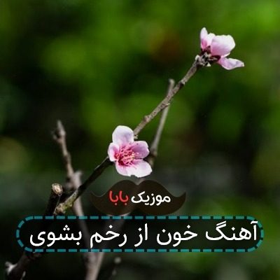 آهنگ خون از رخم بشوی
