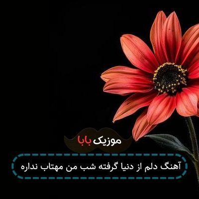 آهنگ دلم از دنیا گرفته شب من مهتاب نداره آهنگ دلم از دنیا گرفته شب من مهتاب نداره