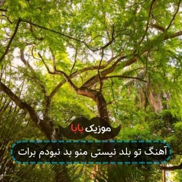 آهنگ تو بلد نیستی منو بد نبودم برات