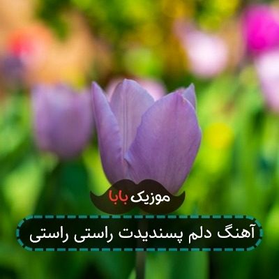 آهنگ دلم پسندیدت راستی راستی آهنگ دلم پسندیدت راستی راستی