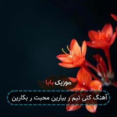آهنگ کئی تیم ر بیارین محبت ر بکارین آهنگ کئی تیم ر بیارین محبت ر بکارین