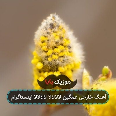 آهنگ خارجی غمگین لالالالا لالالالا اینستاگرام
