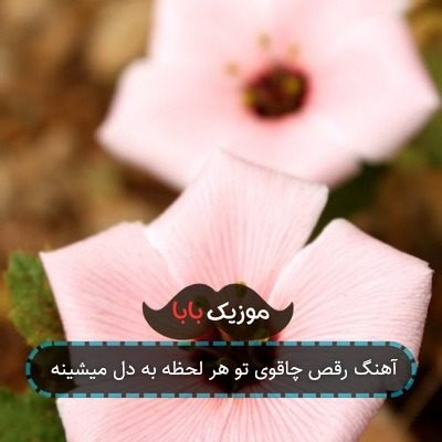 آهنگ رقص چاقوی تو هر لحظه به دل میشینه آهنگ رقص چاقوی تو هر لحظه به دل میشینه