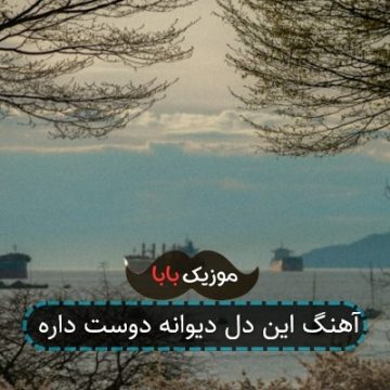آهنگ این دل دیوانه دوست داره آهنگ این دل دیوانه دوست داره