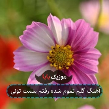 آهنگ گلم تموم شده رفتم سمت تونی آهنگ گلم تموم شده رفتم سمت تونی