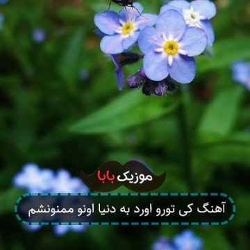 آهنگ کی تورو اورد به دنیا اونو ممنونشم آهنگ کی تورو اورد به دنیا اونو ممنونشم