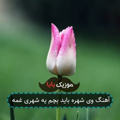 آهنگ وی شهره باید بچم یه شهری غمه