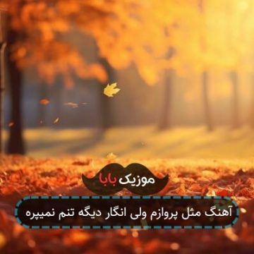 آهنگ اصلا این روزا نیستم رو به راه